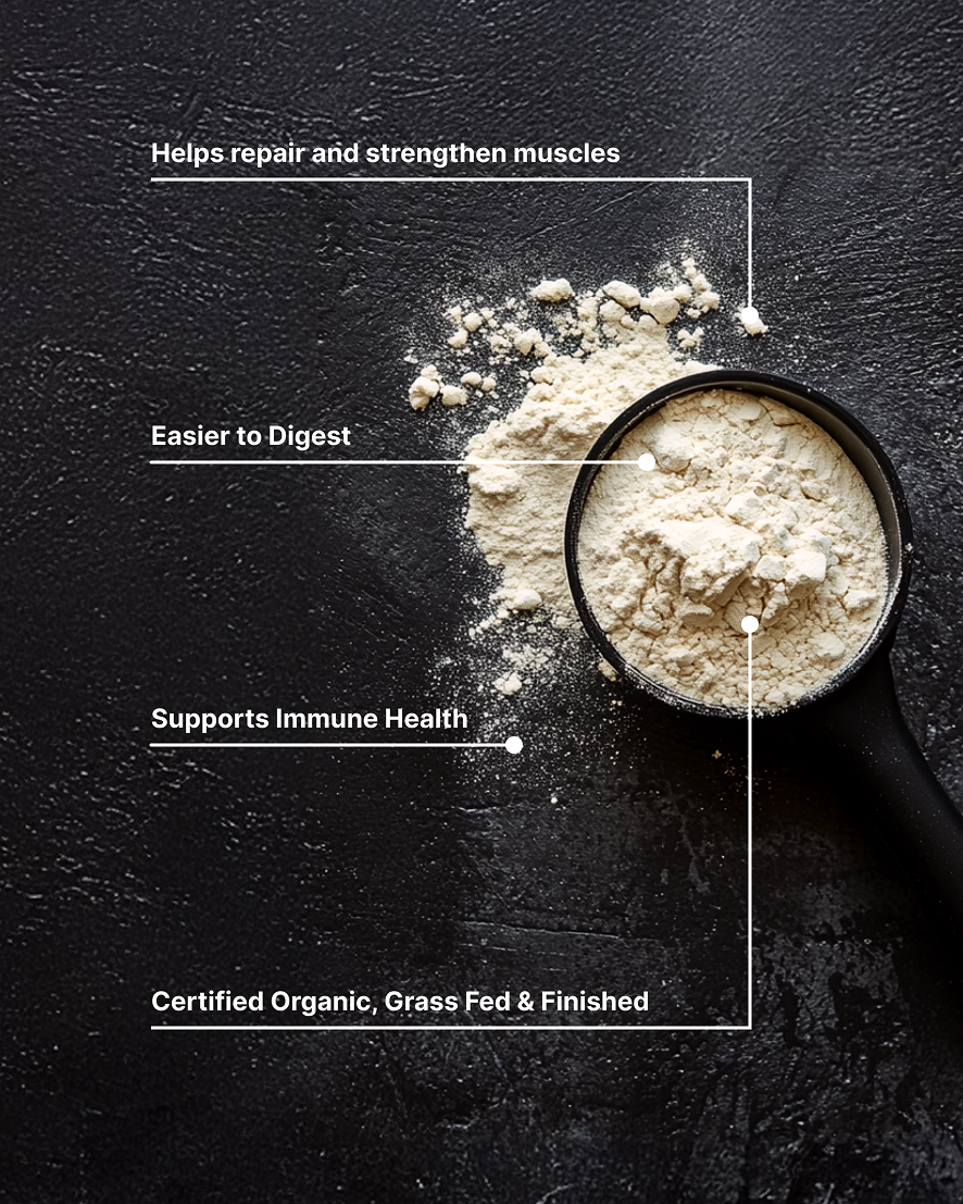 A2 | A2 Whey Protein